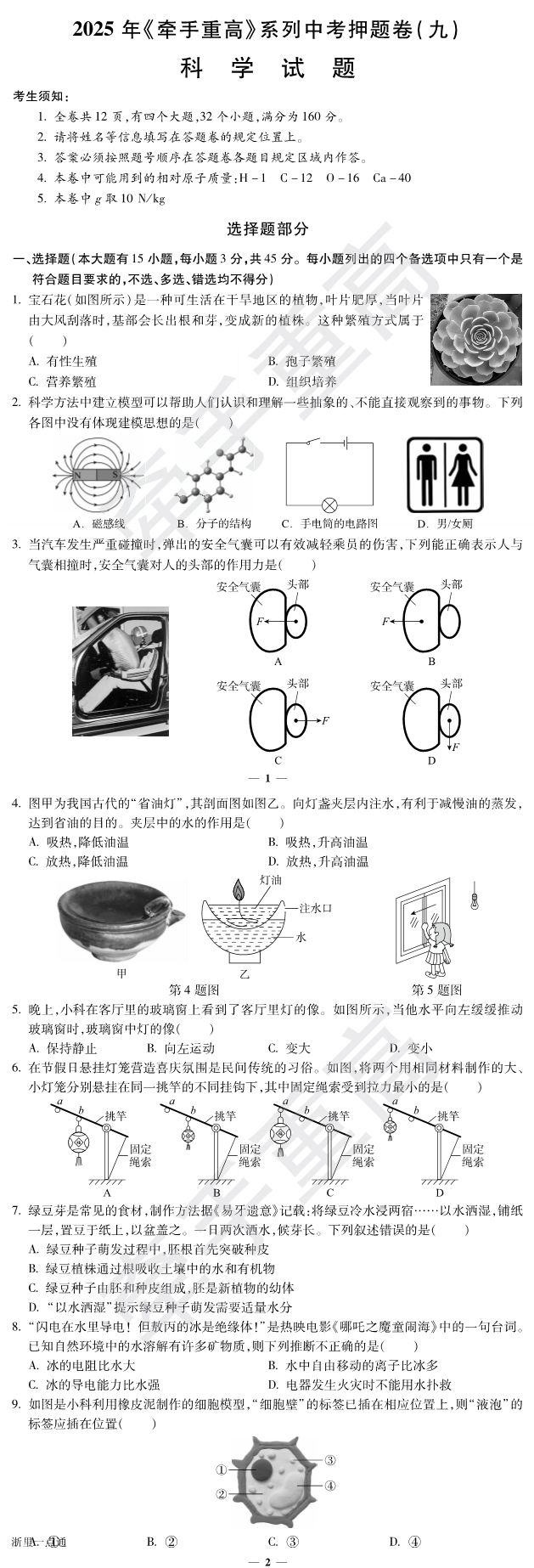 缩略图