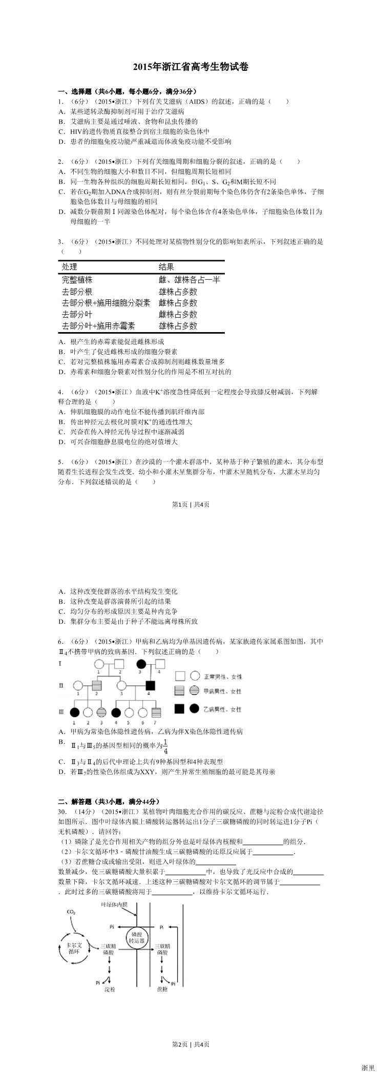 缩略图