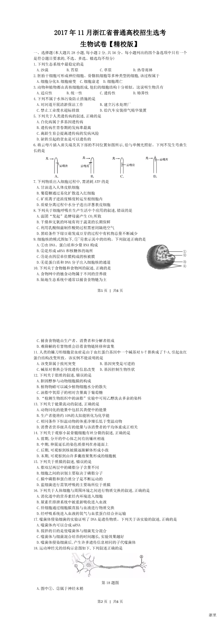 缩略图