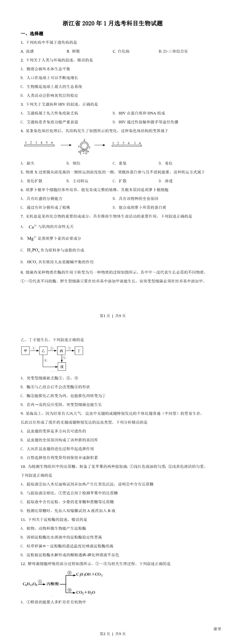 缩略图