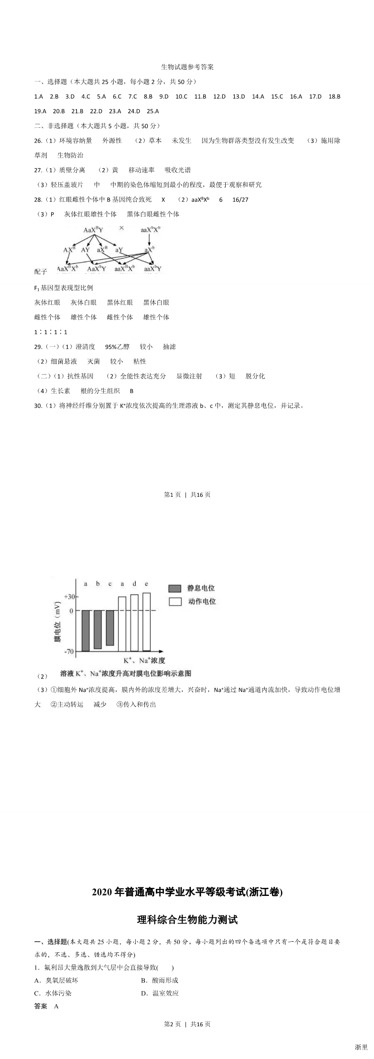 缩略图