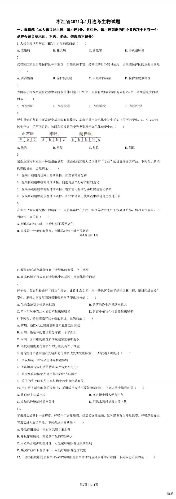 缩略图