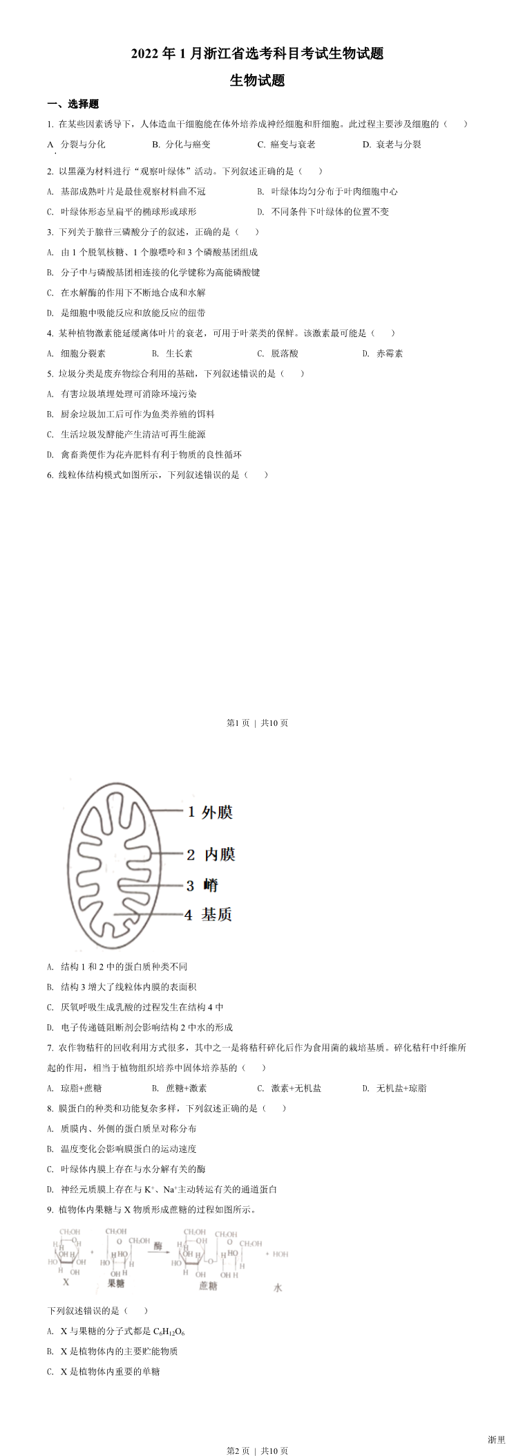缩略图