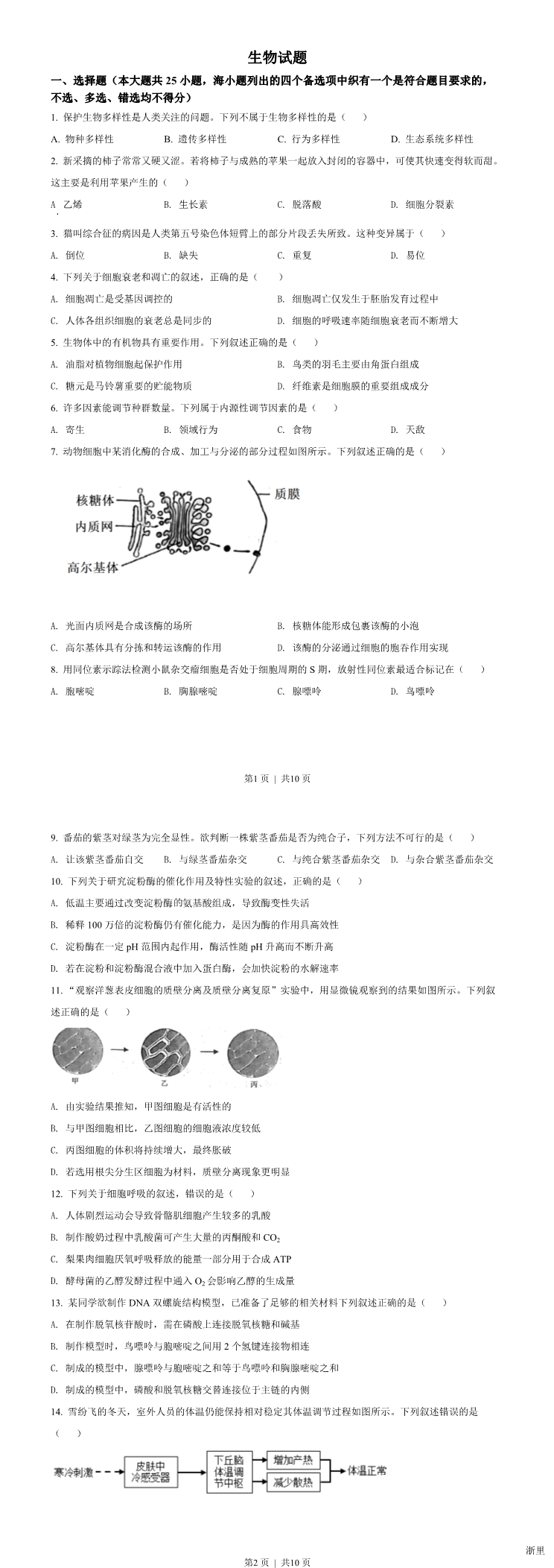 缩略图