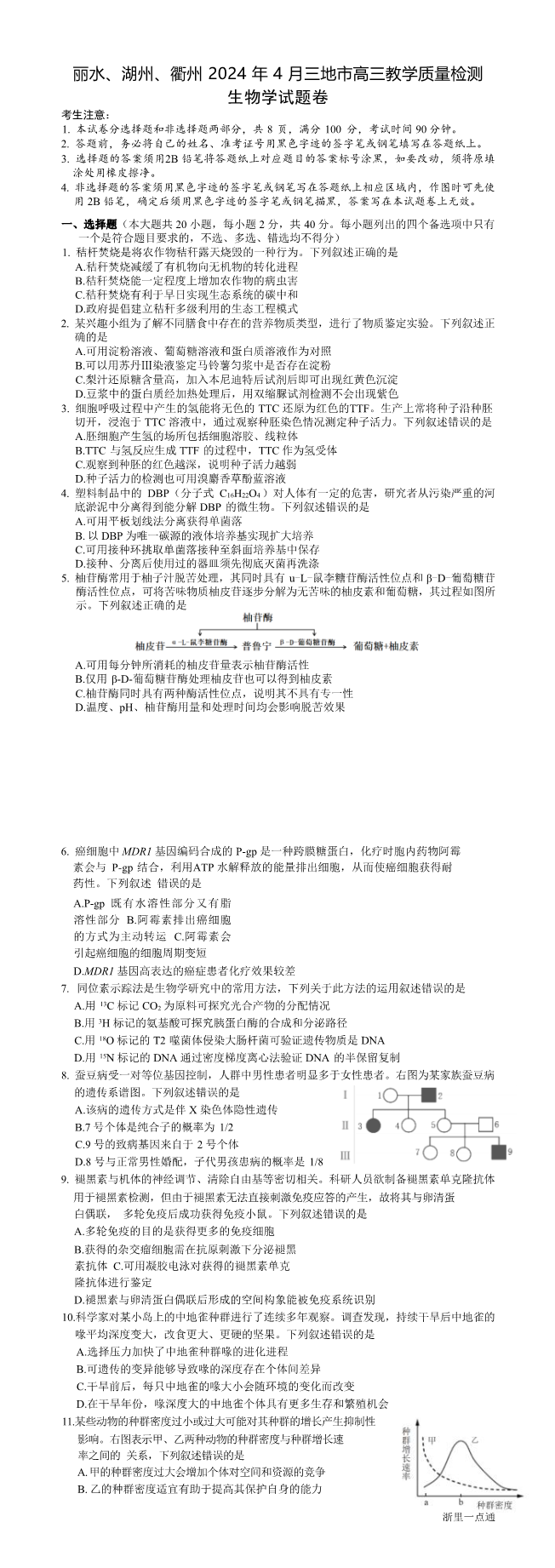 缩略图