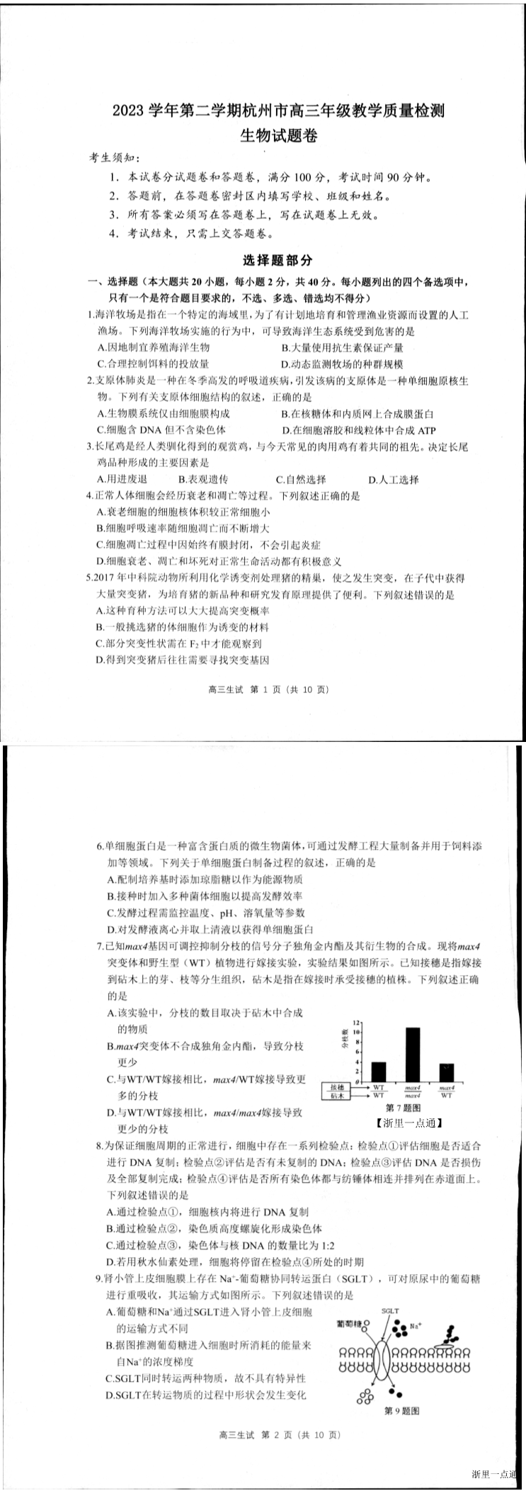 缩略图