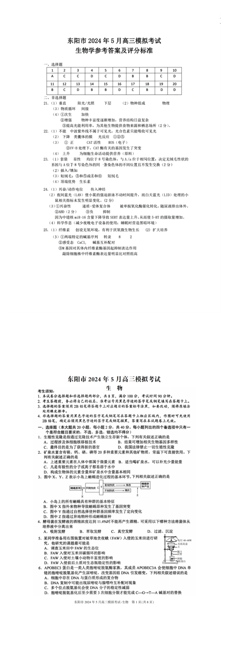 缩略图