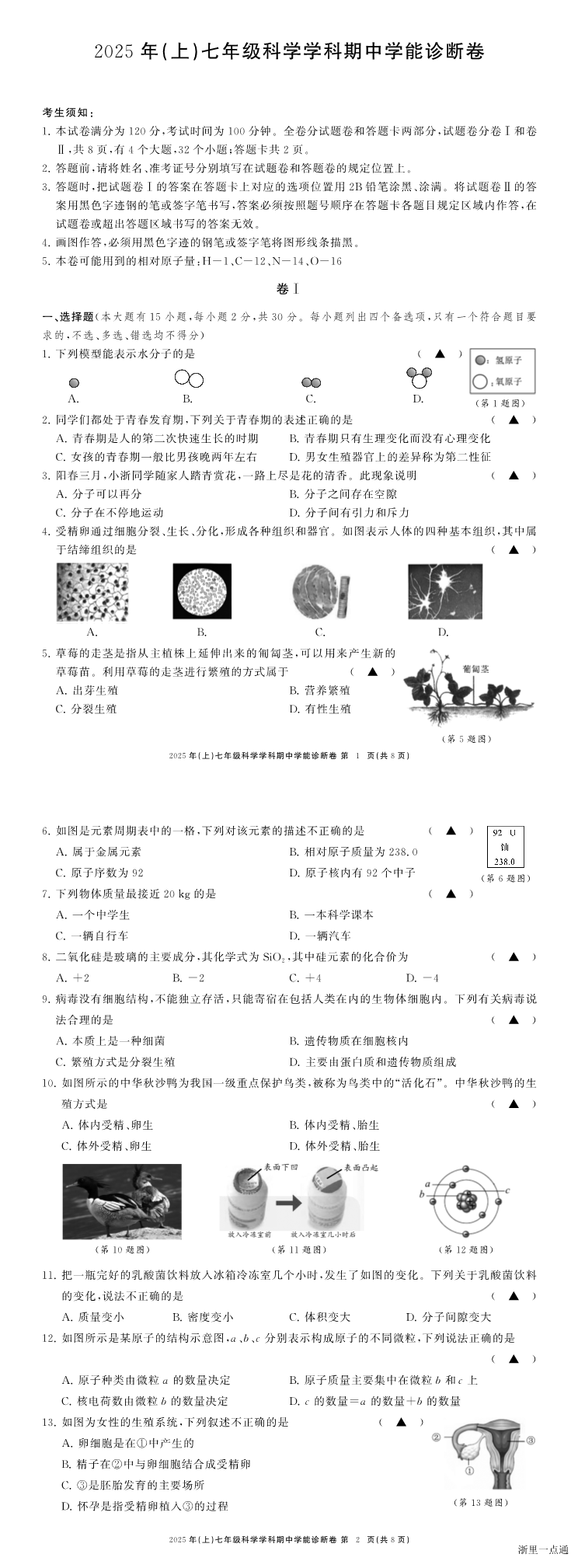 缩略图
