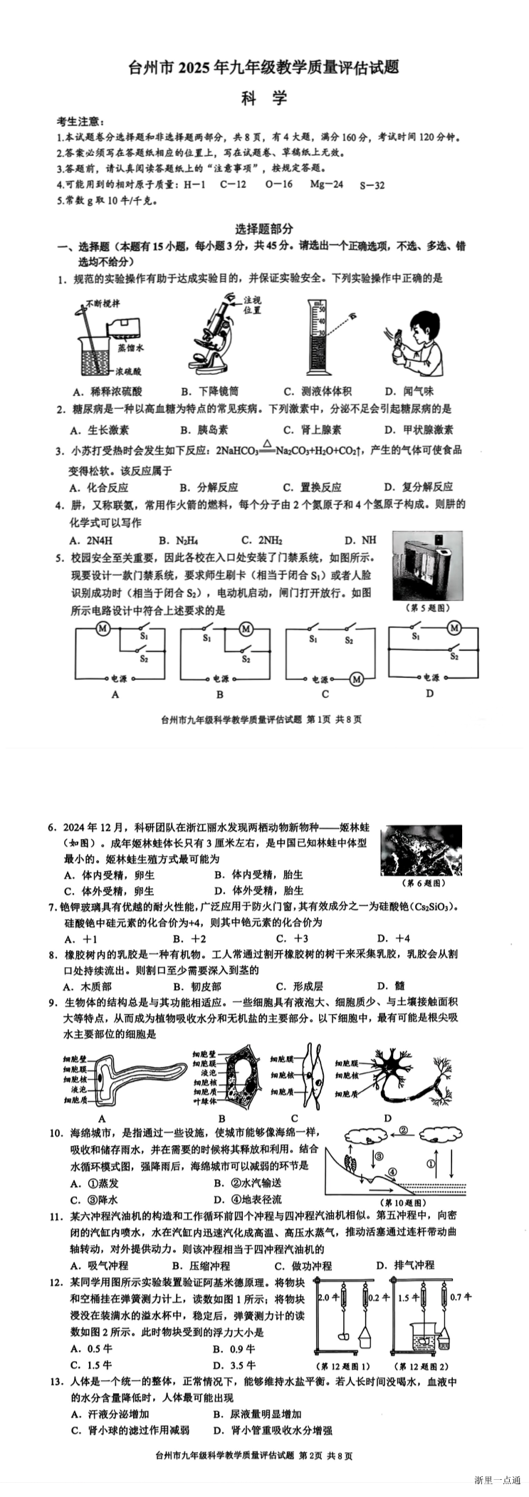 缩略图