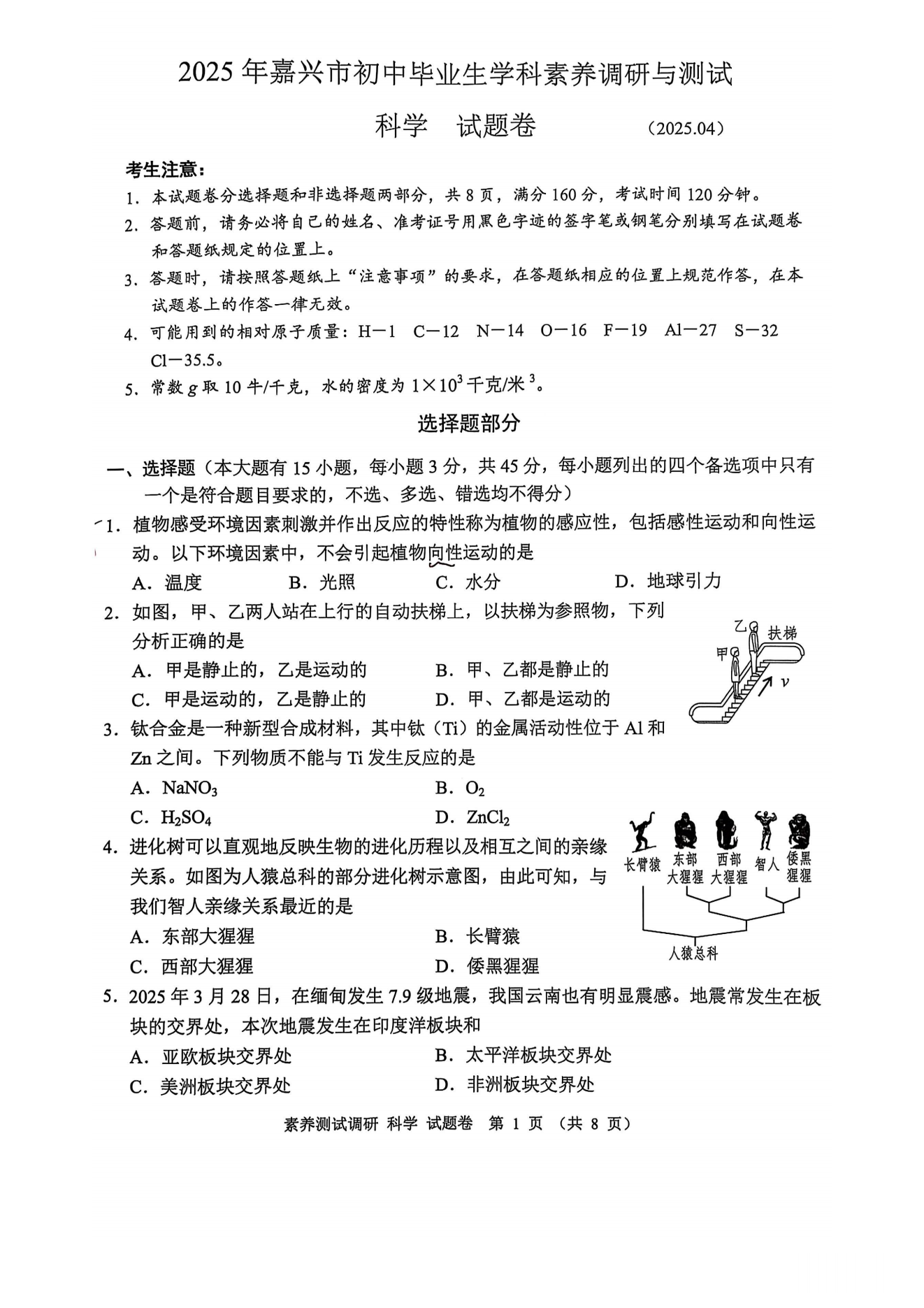 缩略图