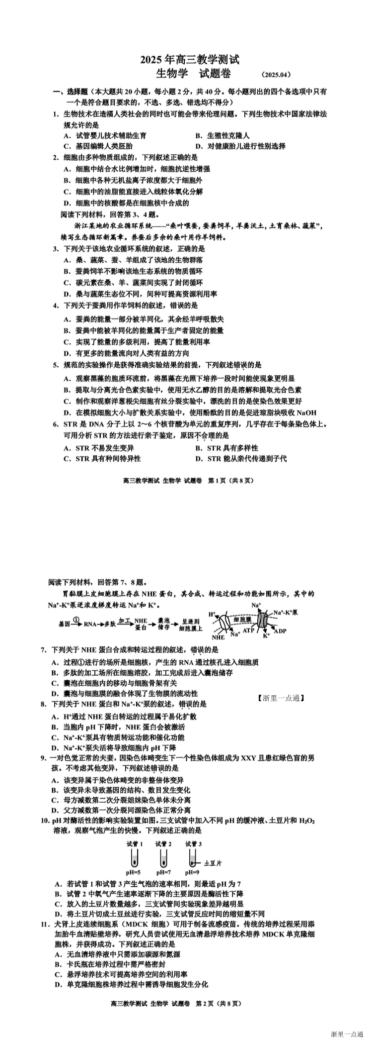 缩略图