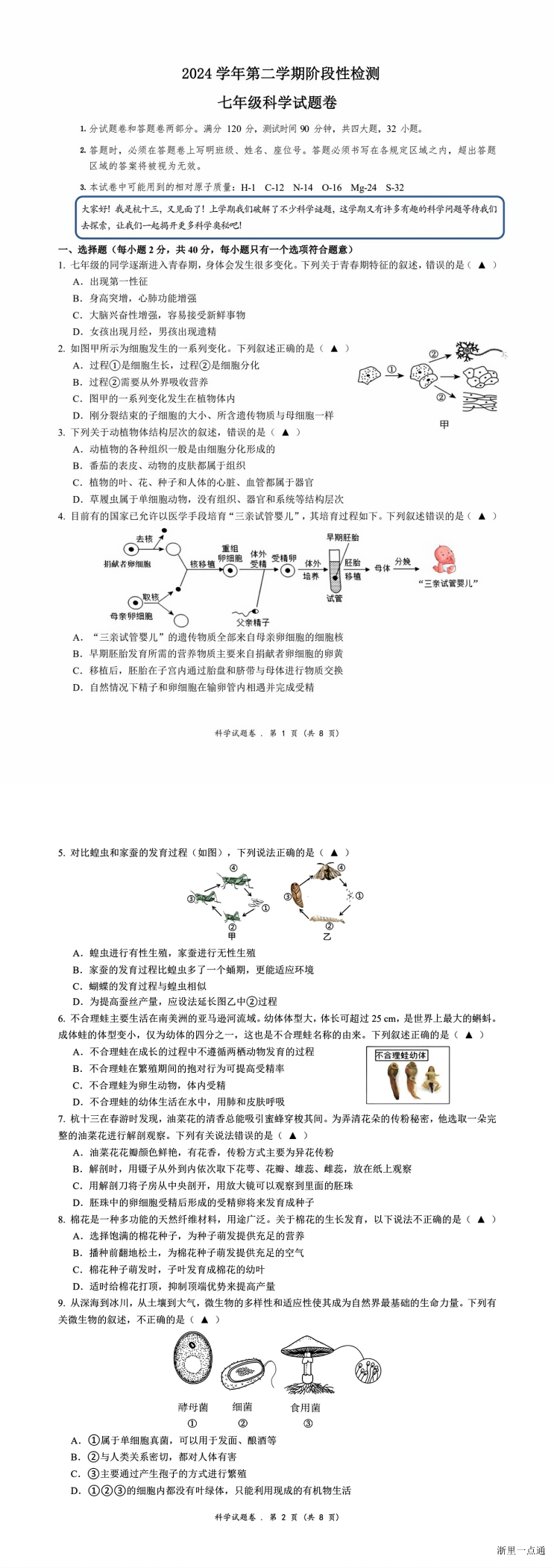 缩略图