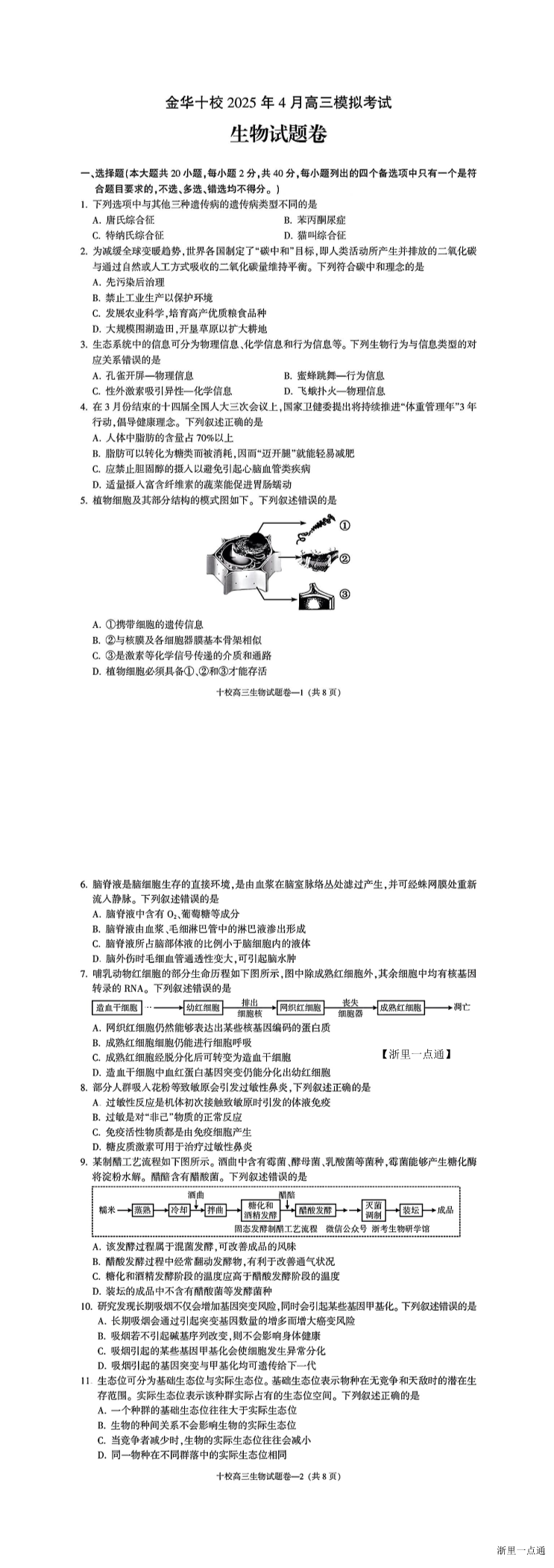 缩略图