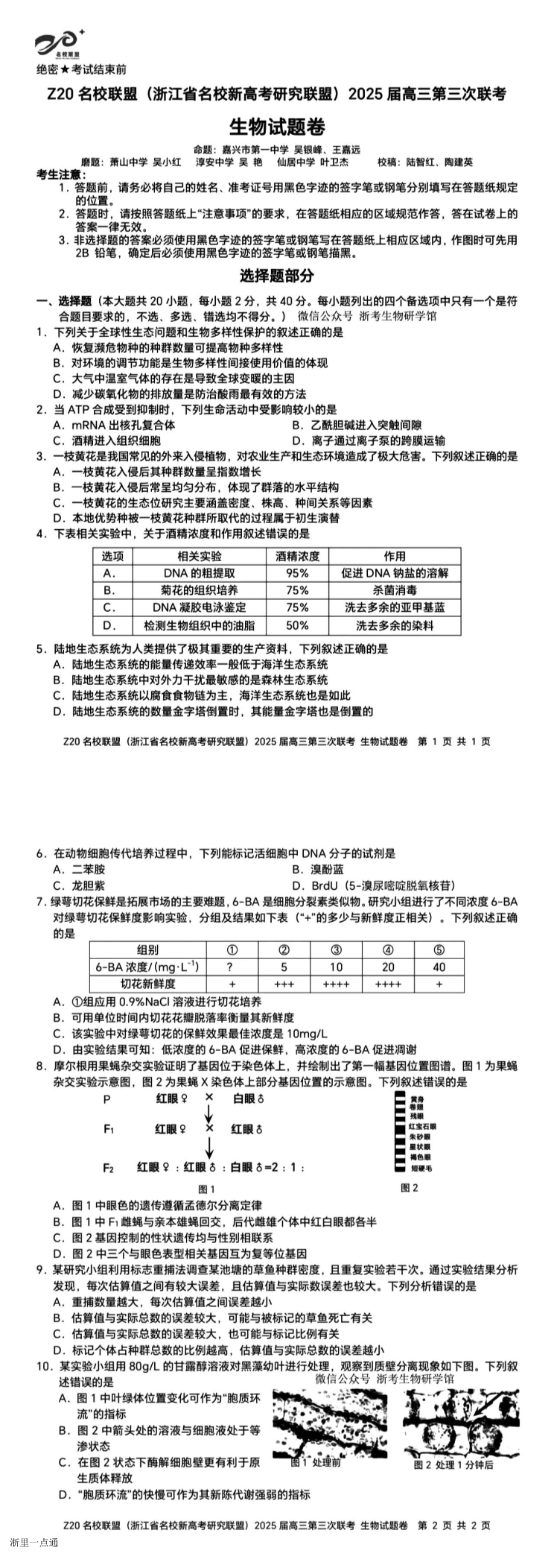 缩略图