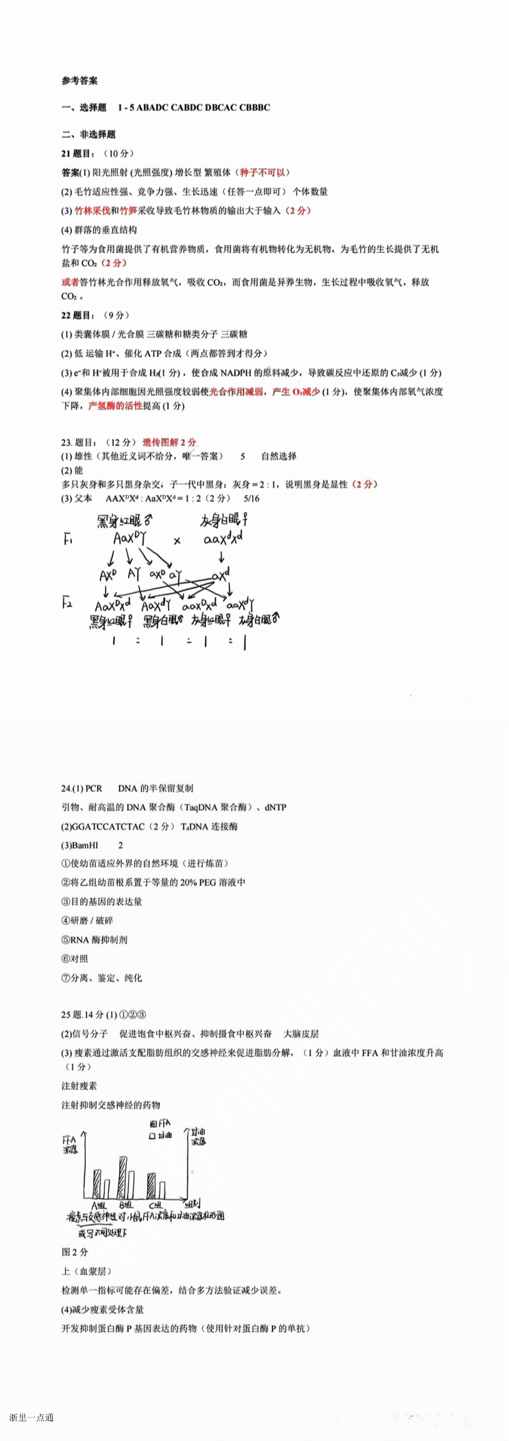 缩略图