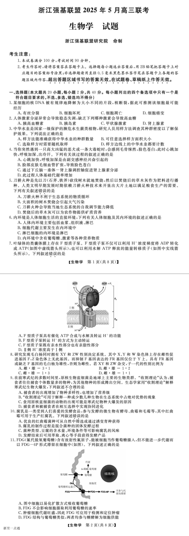 缩略图