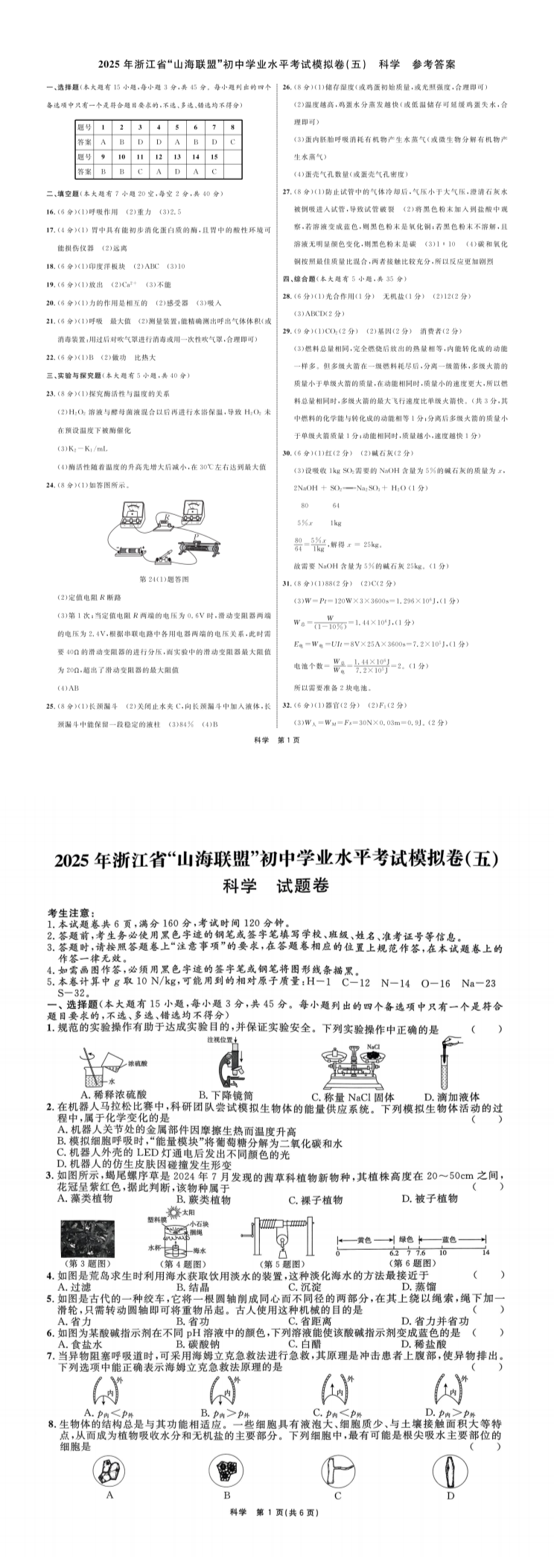 缩略图