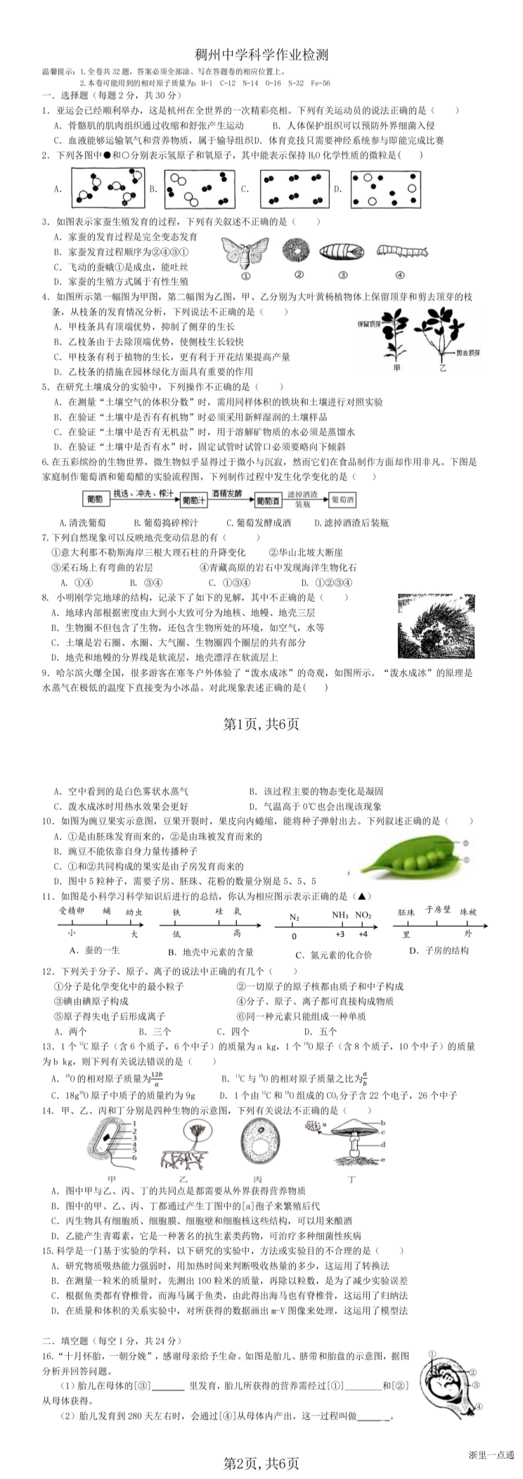 缩略图