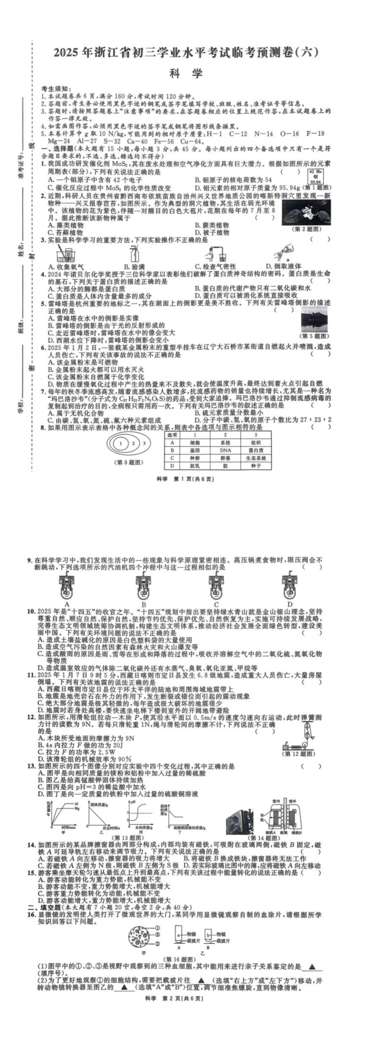 缩略图