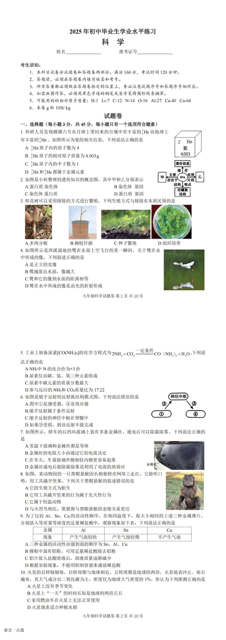 缩略图