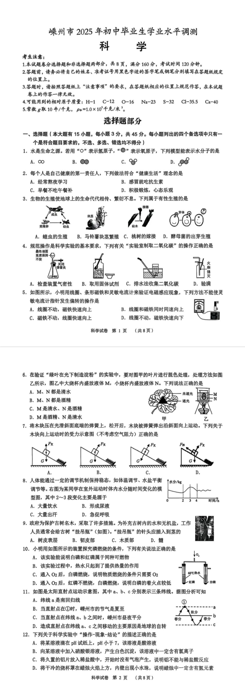 缩略图