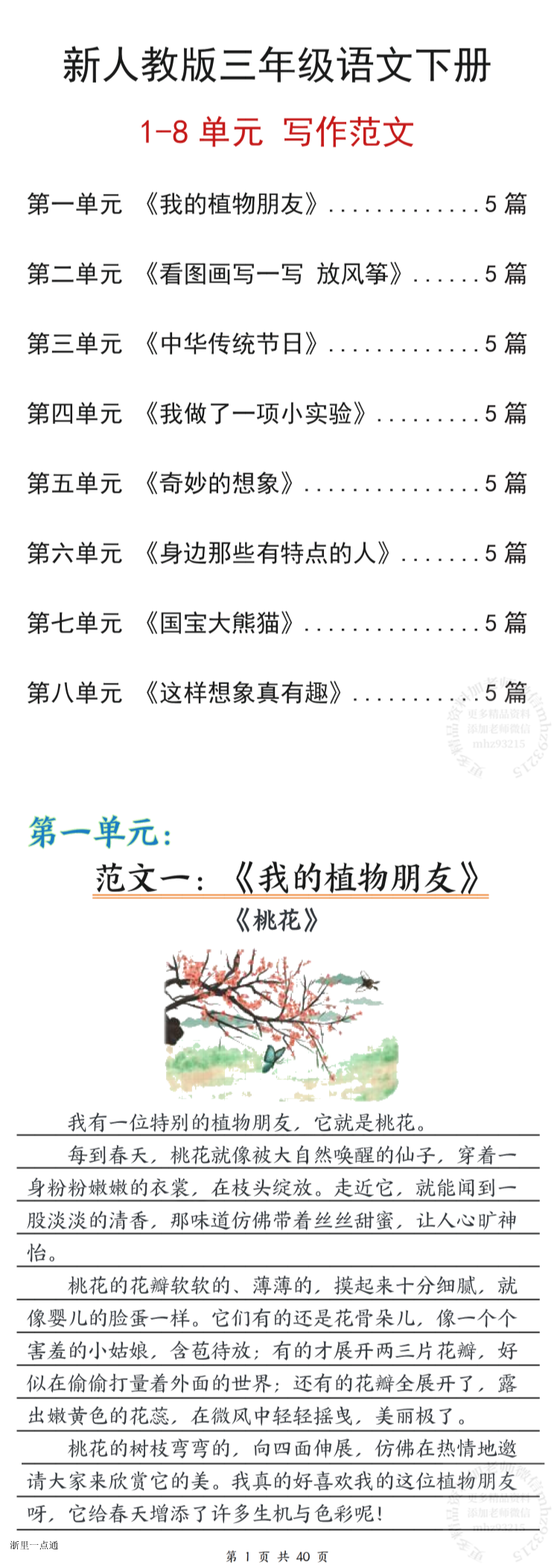 缩略图