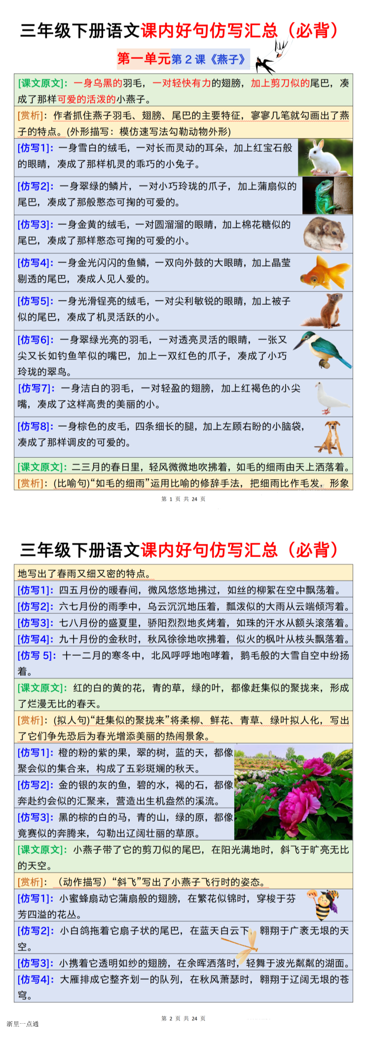缩略图