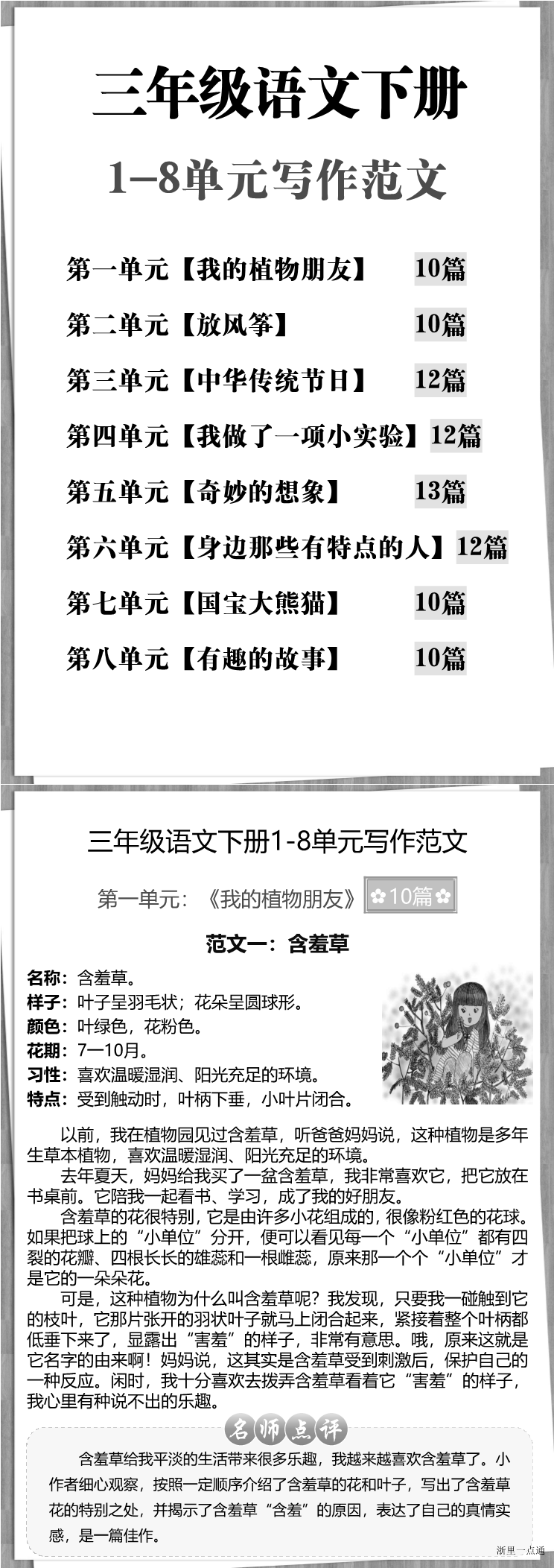 缩略图