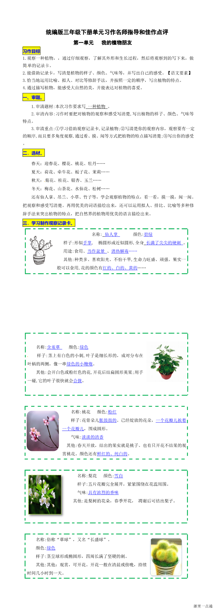缩略图