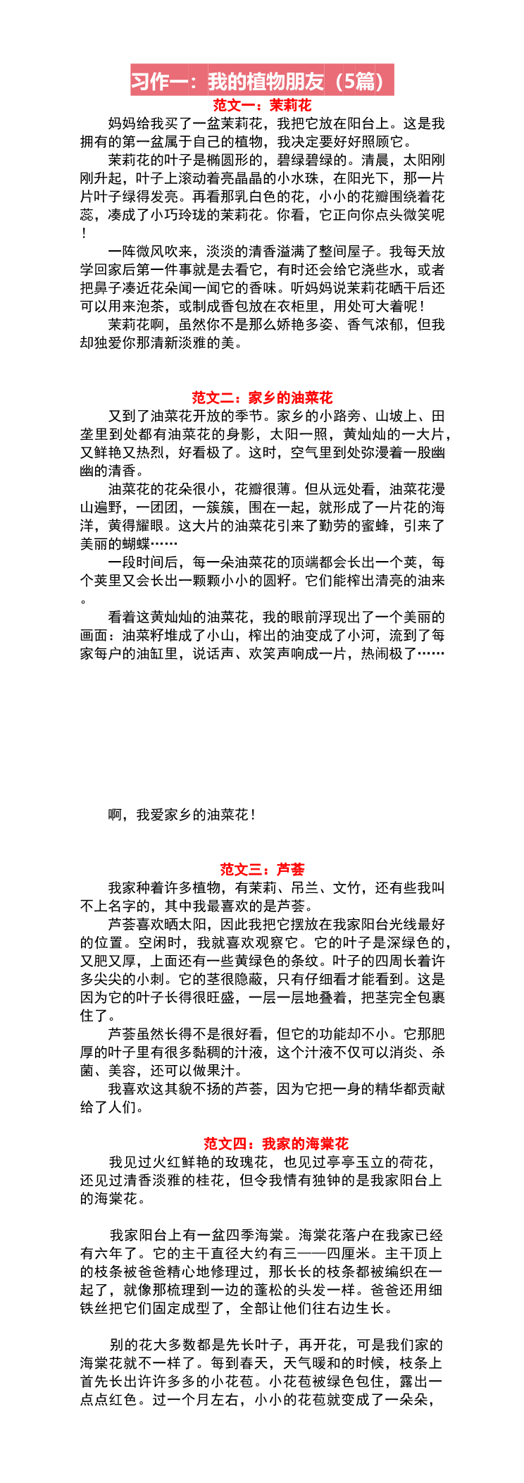 缩略图