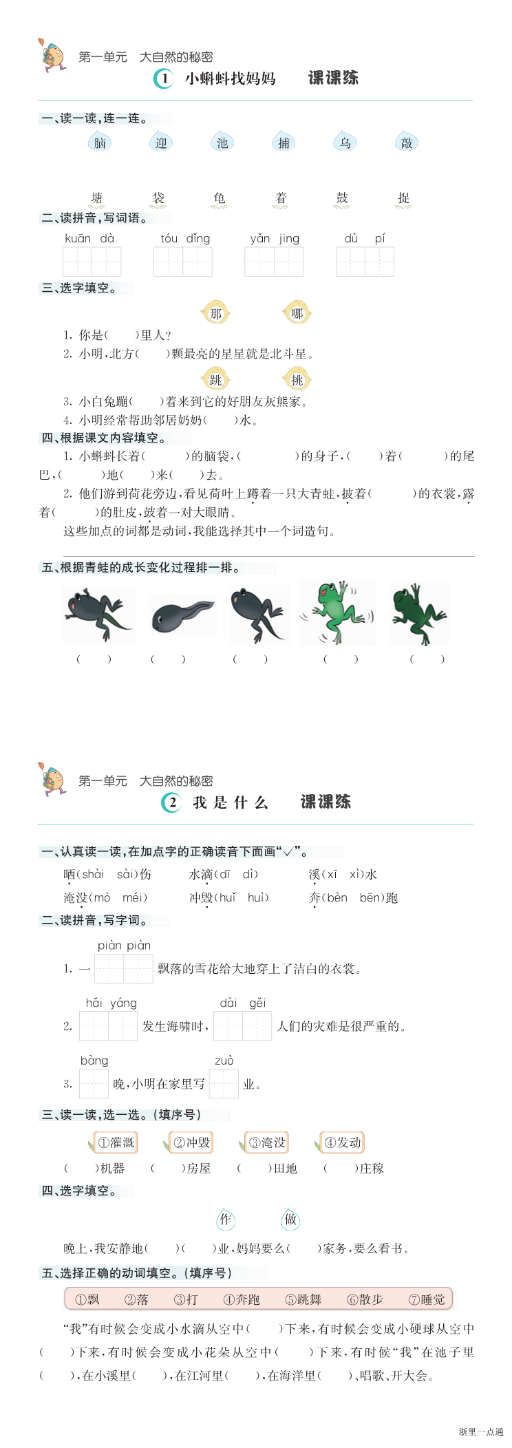 缩略图