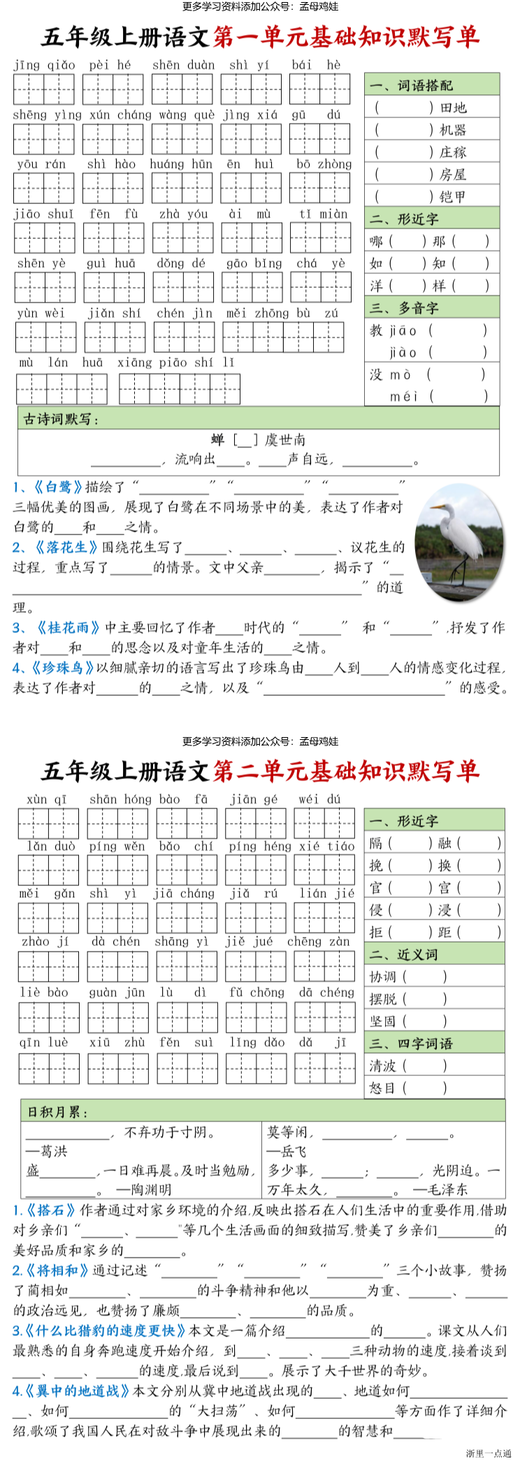 缩略图