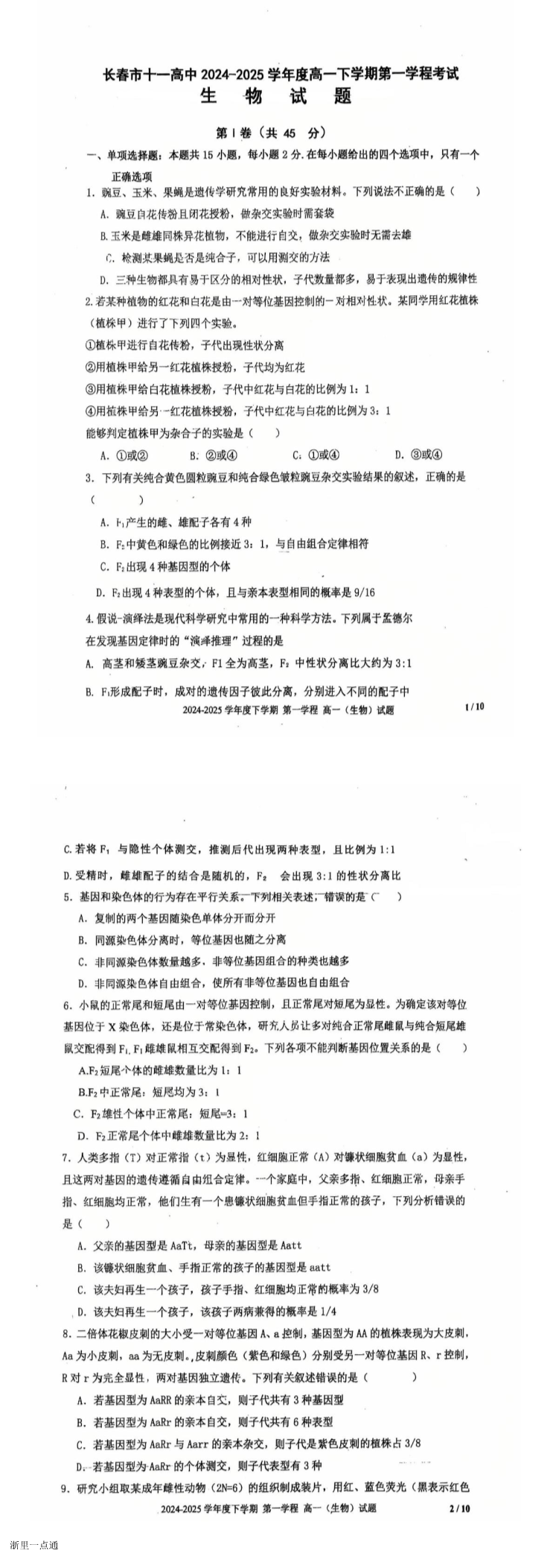缩略图