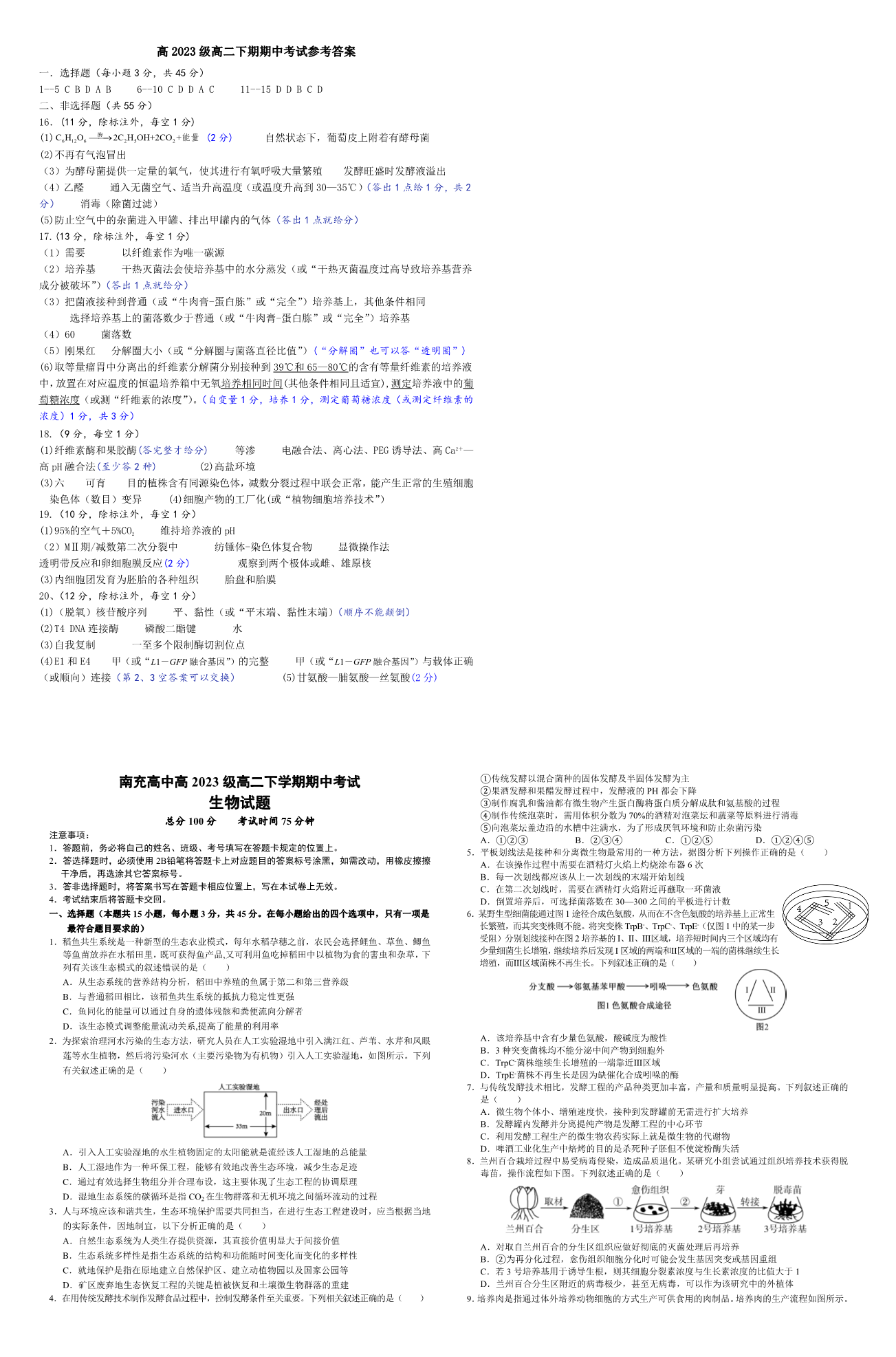 缩略图
