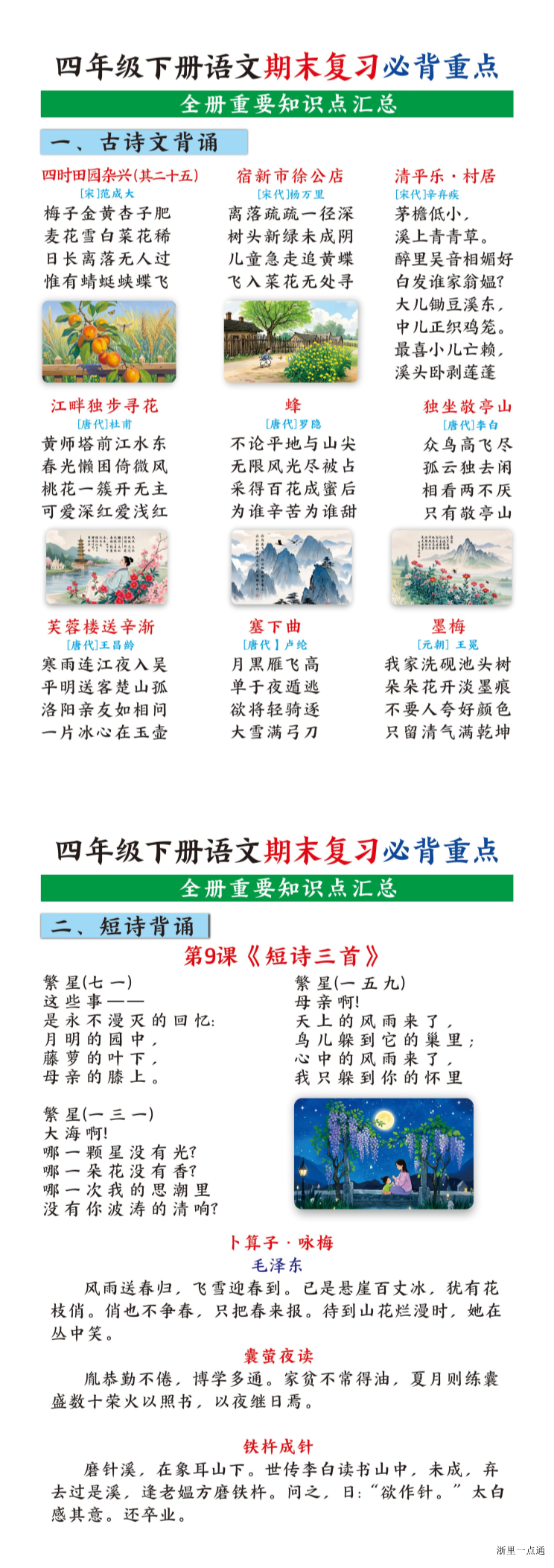 缩略图