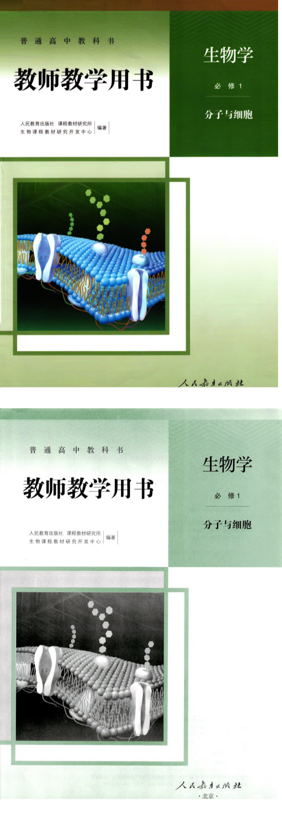 缩略图
