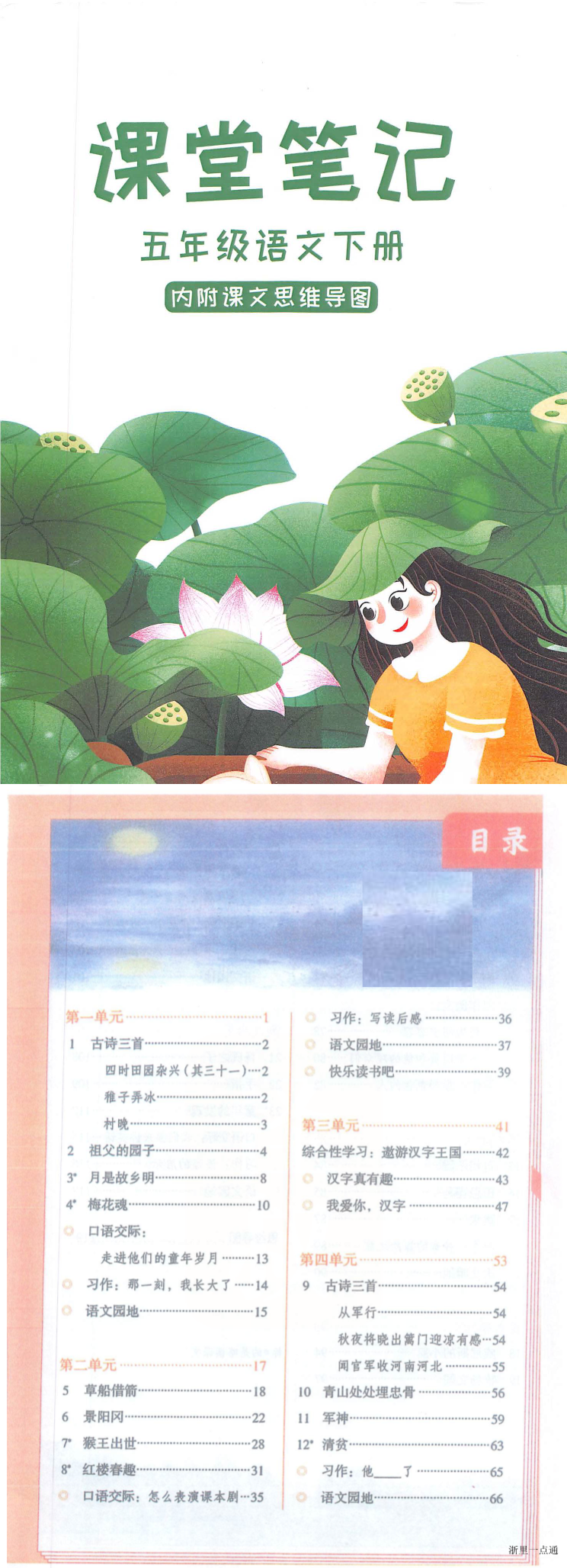 缩略图