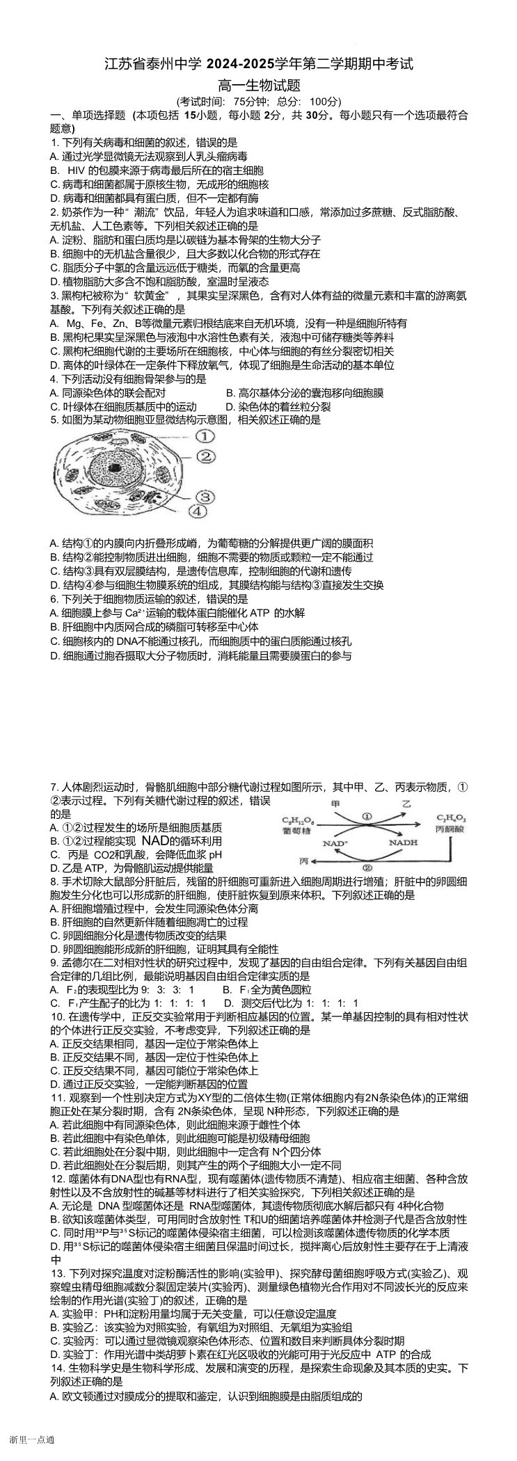 缩略图