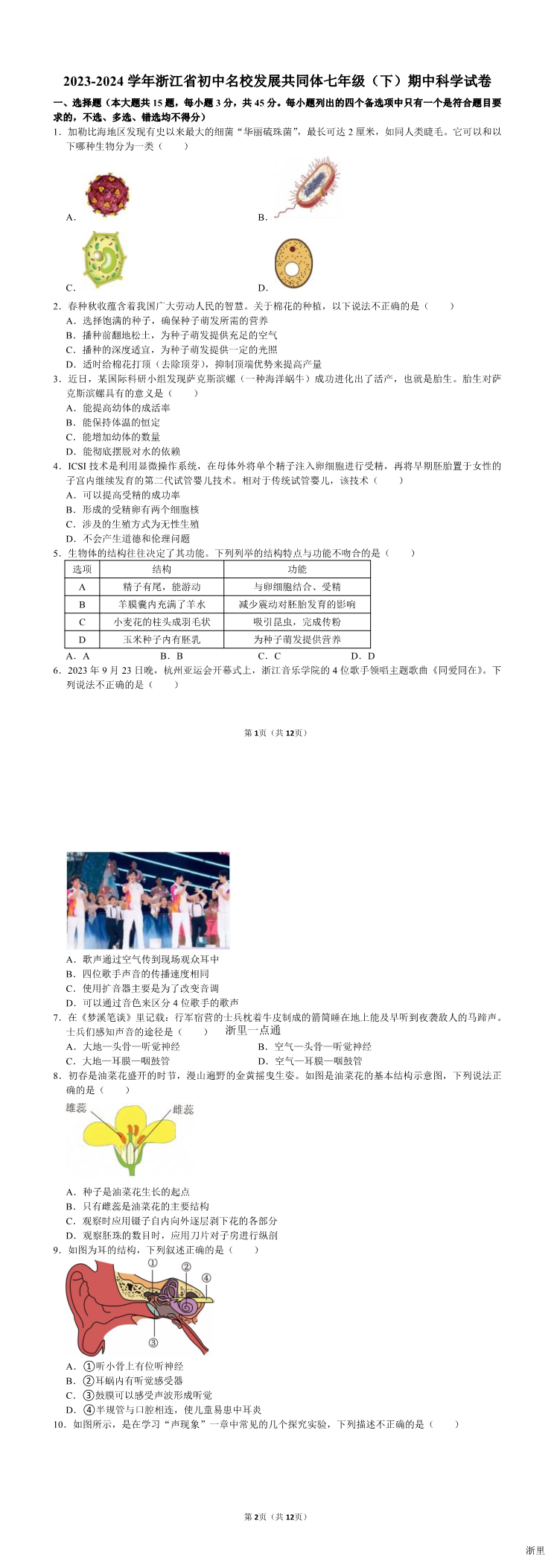 暂无预览