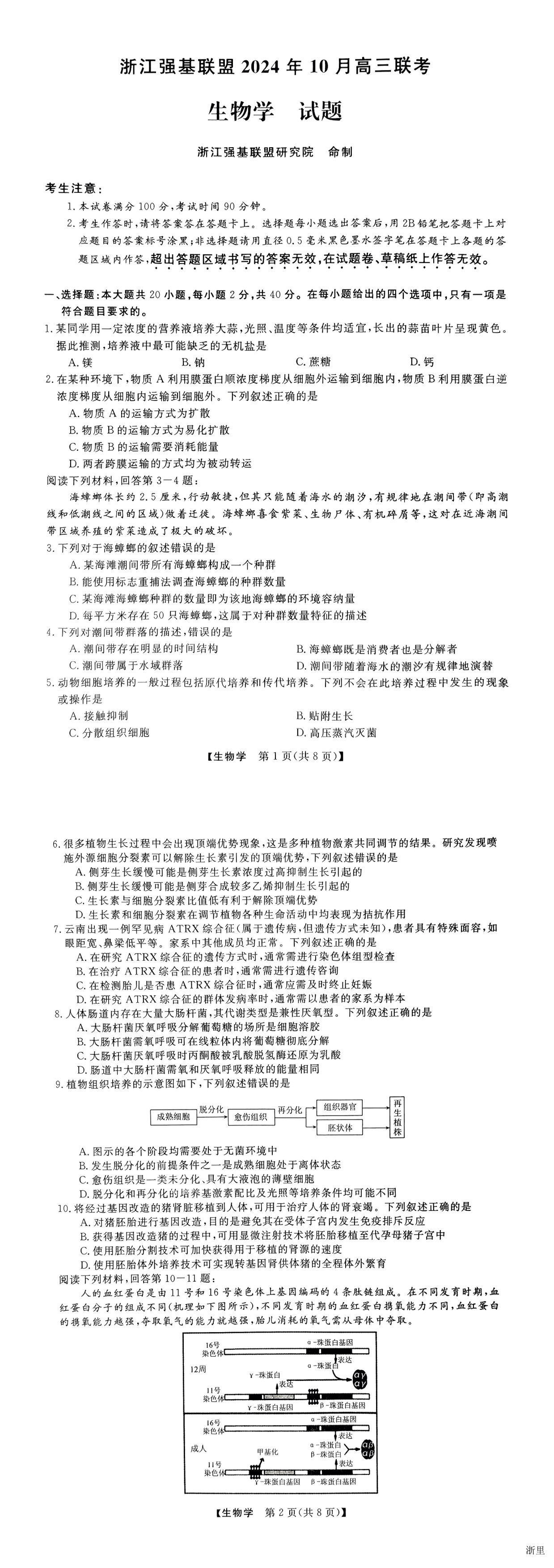 缩略图