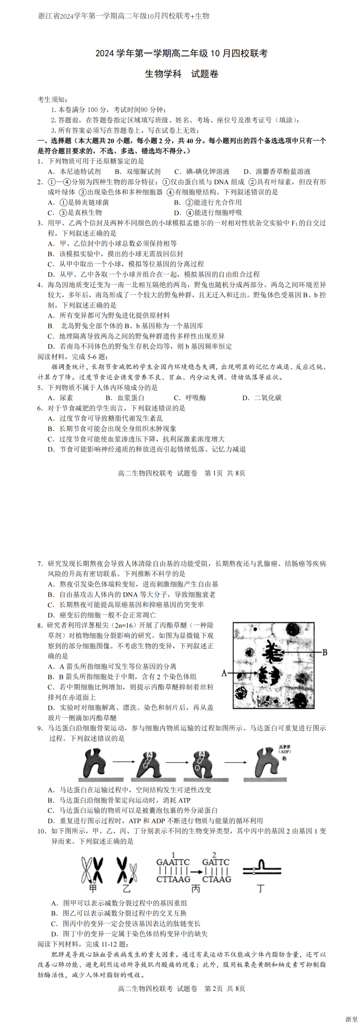 缩略图