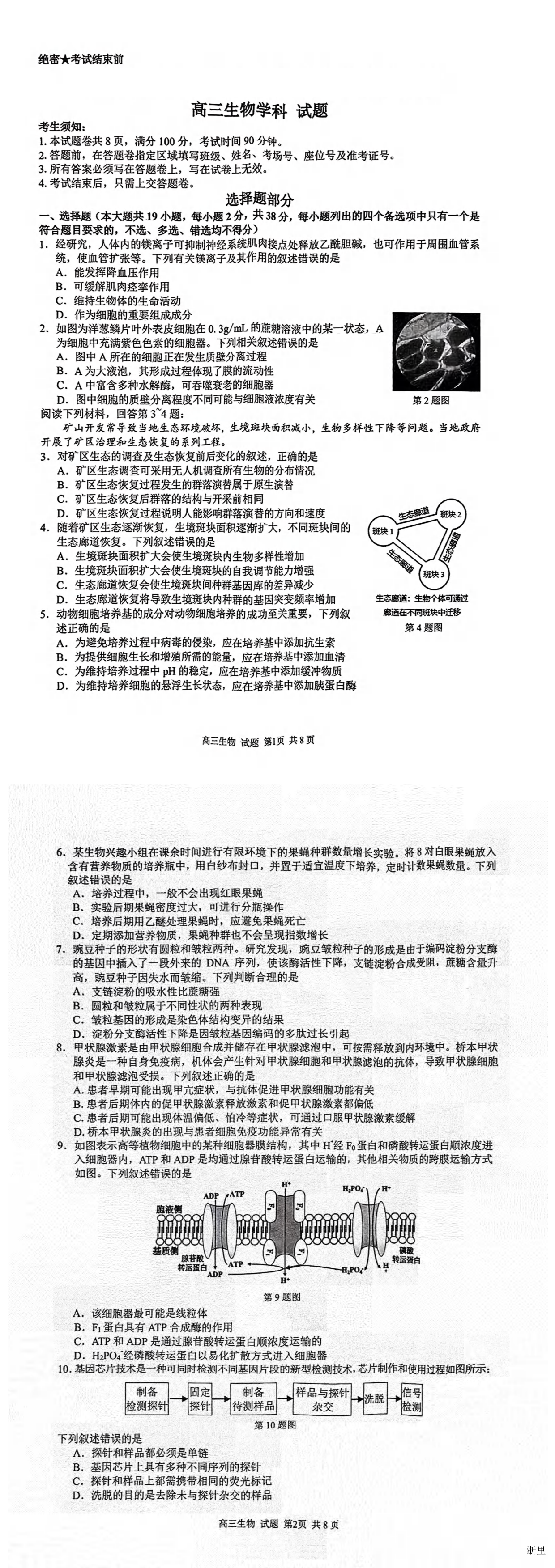 缩略图