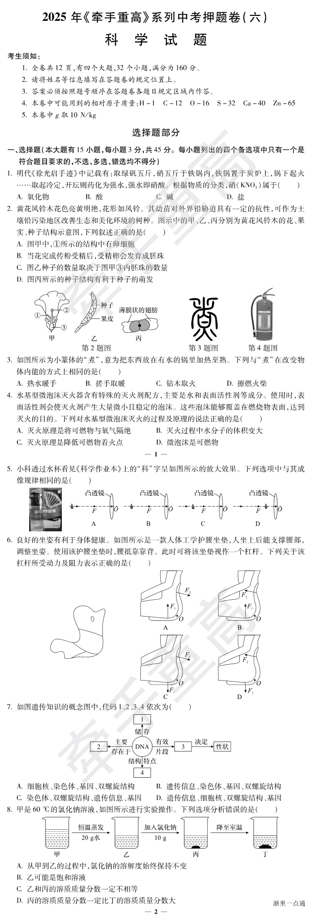 缩略图
