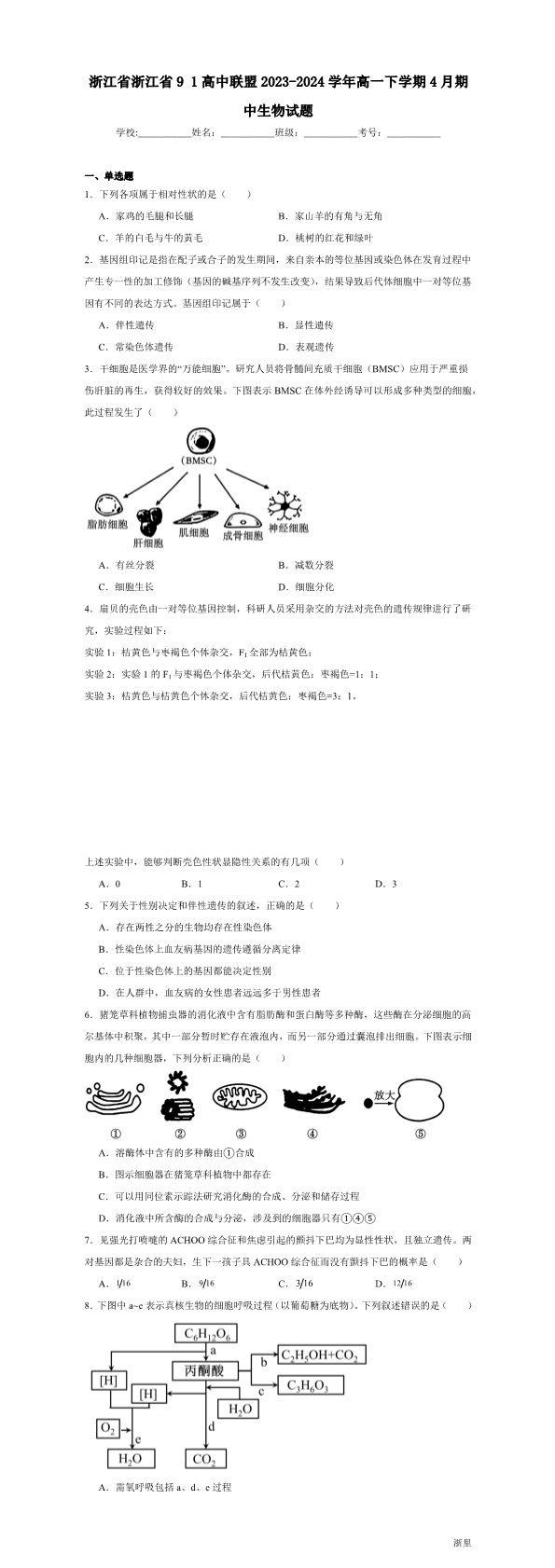 缩略图