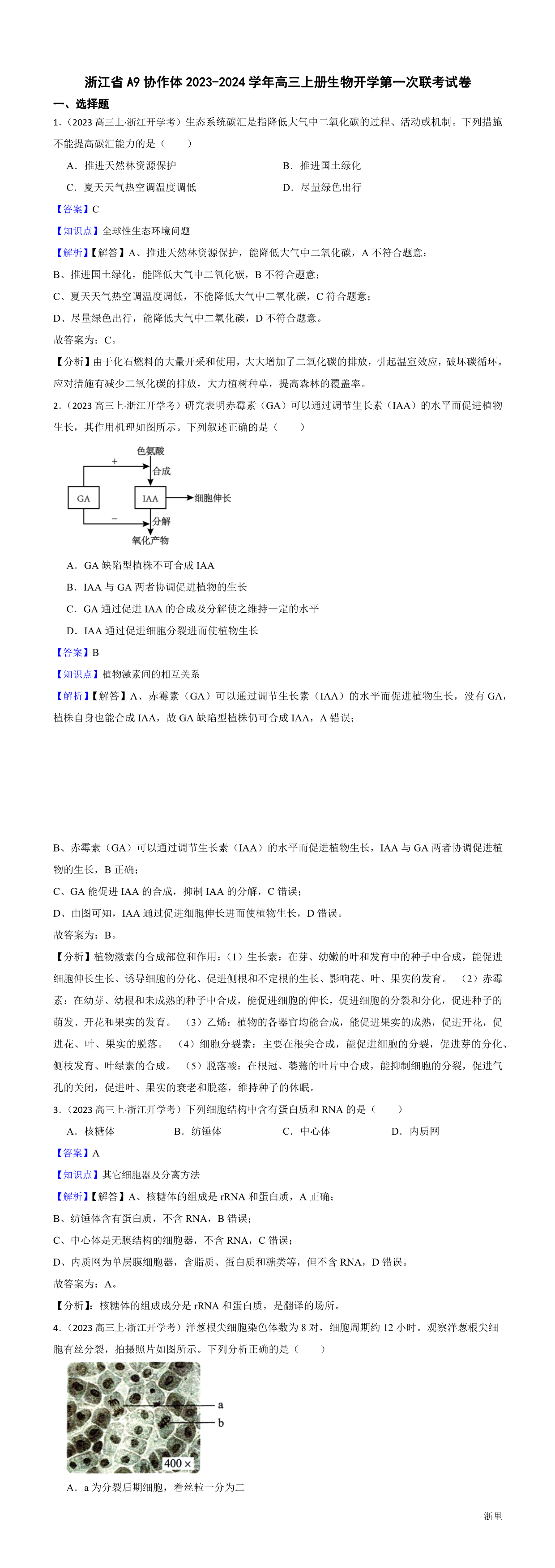 缩略图