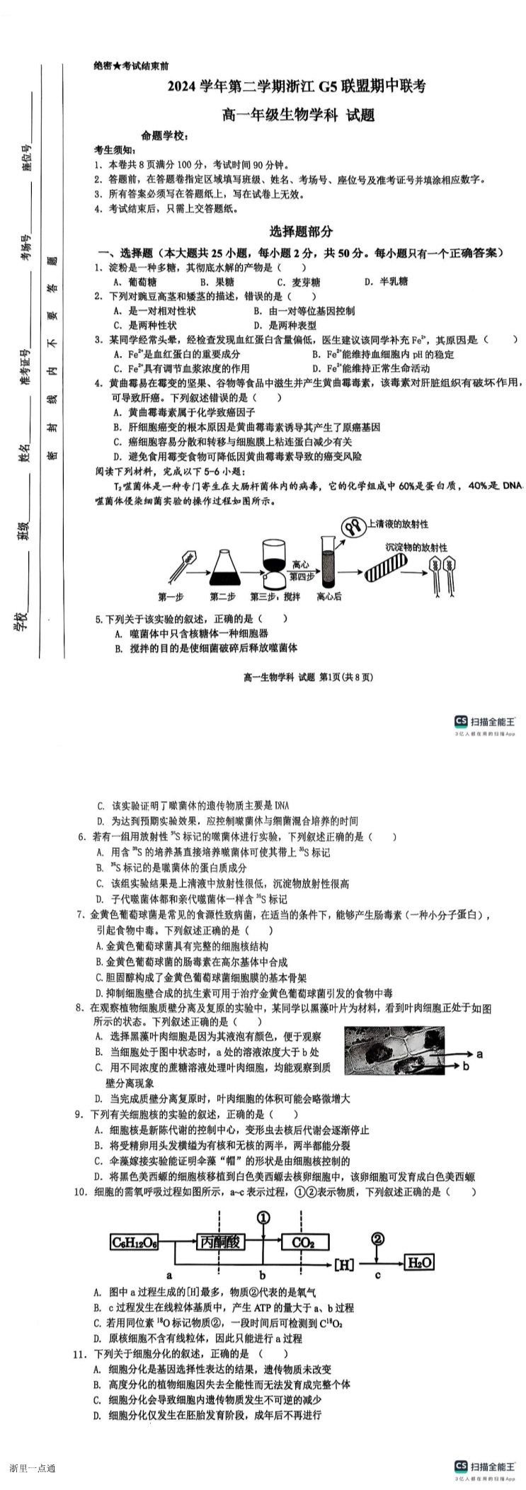 缩略图