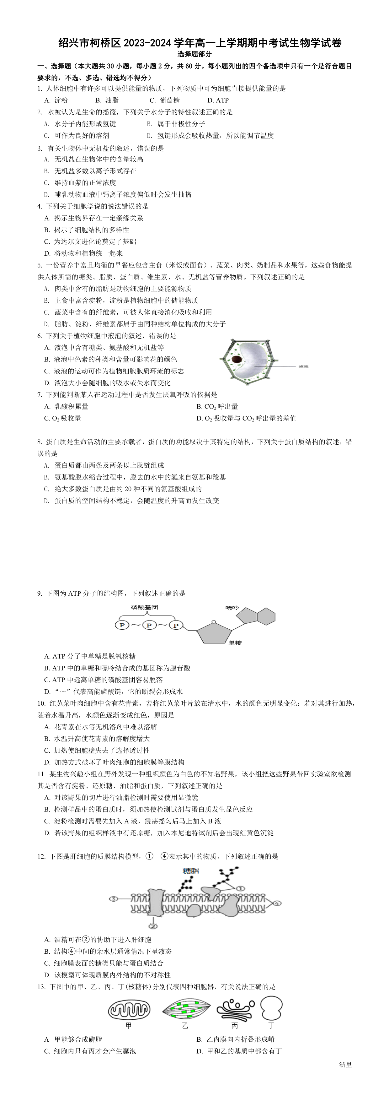 缩略图