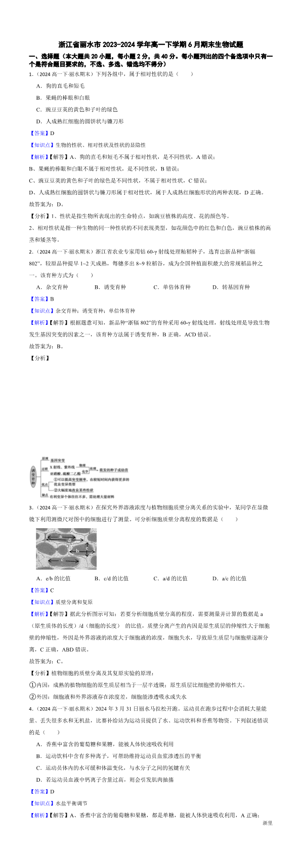 缩略图