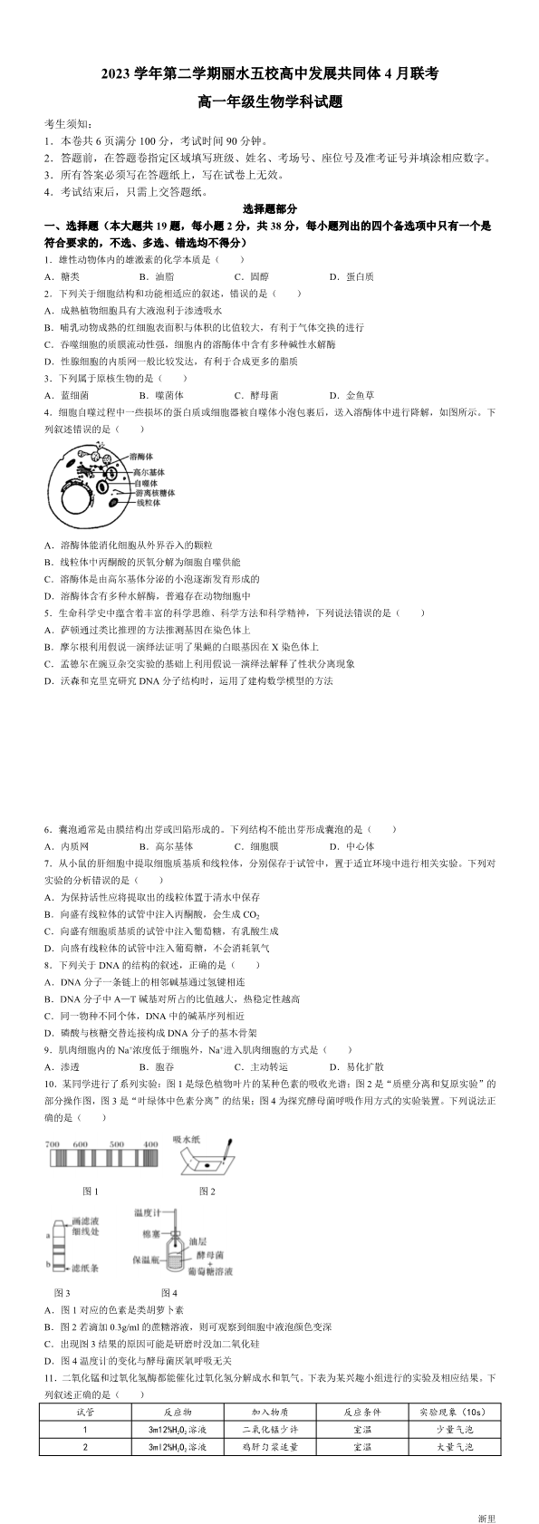 缩略图