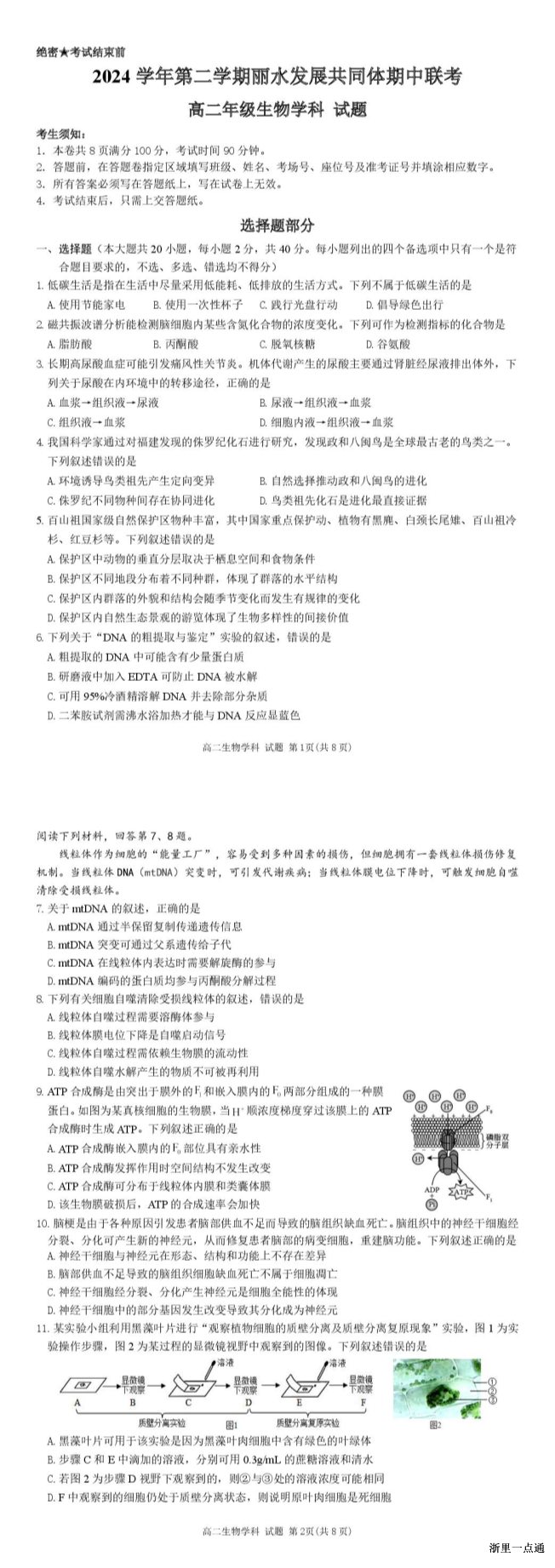 缩略图